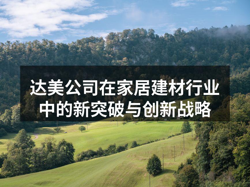 达美公司在家居建材行业中的新突破与创新战略