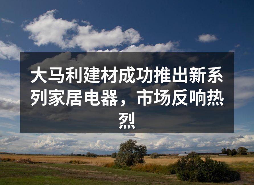 大马利建材成功推出新系列家居电器，市场反响热烈